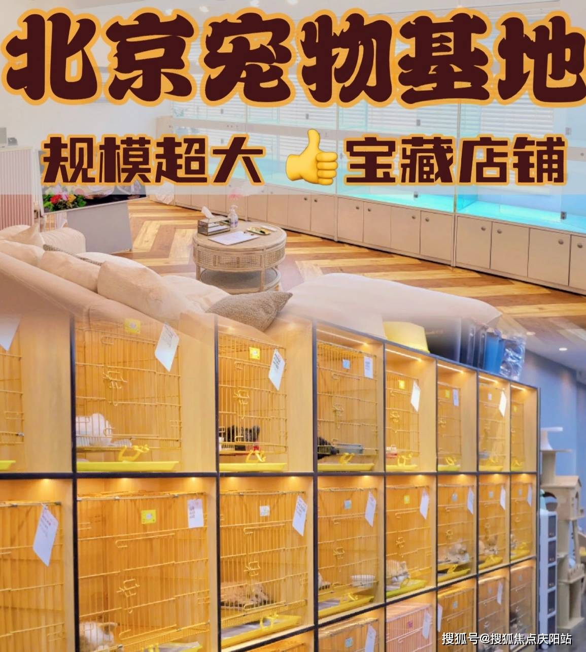 北京哪里卖婬的处所多