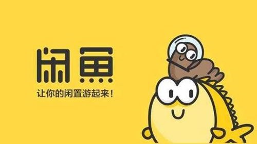 闲鱼同城记号最新