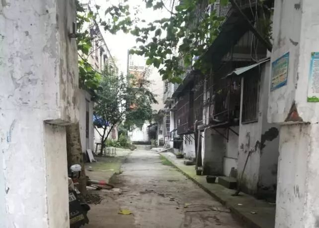 荆州玉桥幼小路在哪里