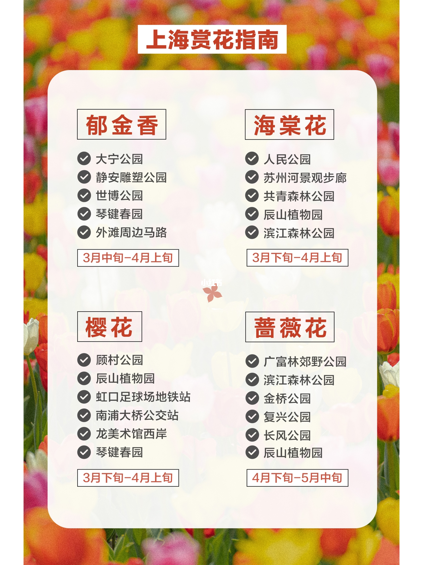 千花访上海自荐区