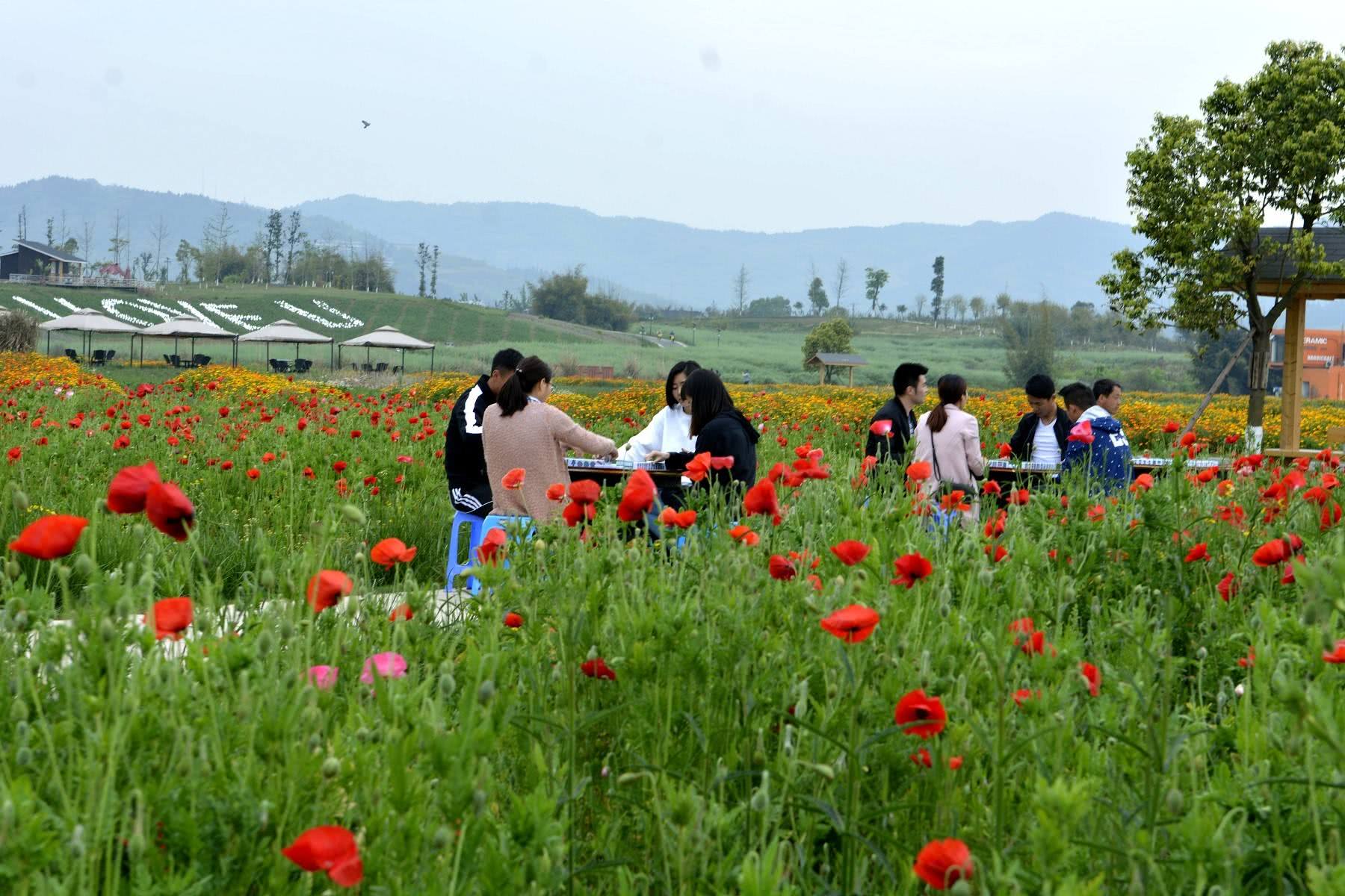 新津花源玩大学生
