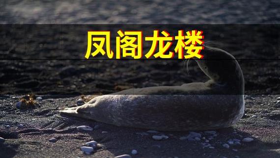 凤阁龙楼