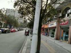 沉庆推拿店最集中的处所
