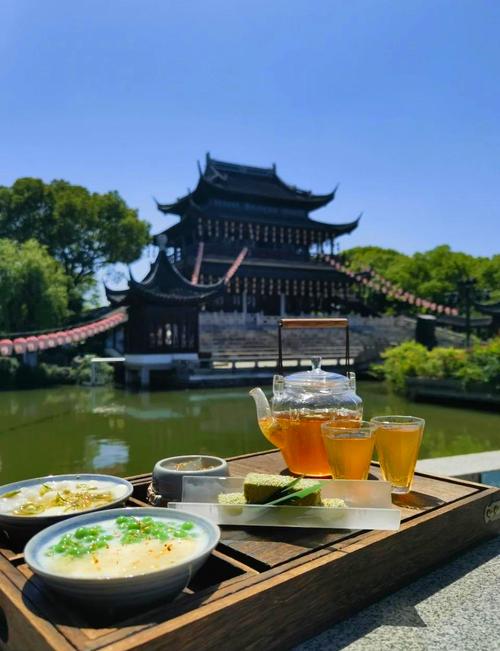信阳品茶网