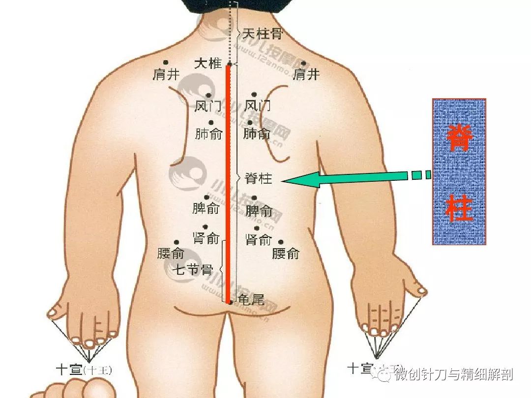 推拿全套有哪些项目详解