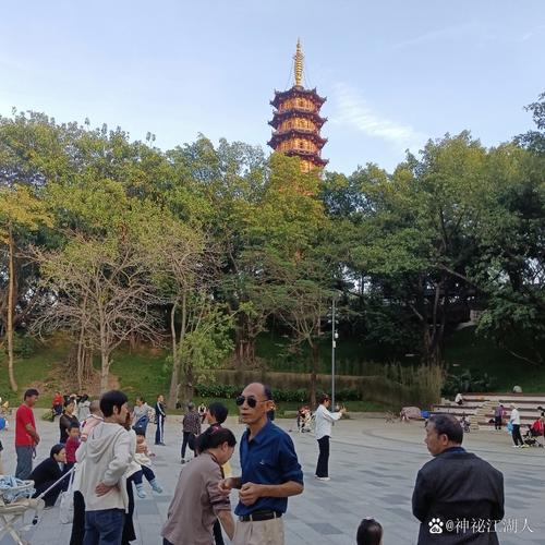 龙华公园左近80块的