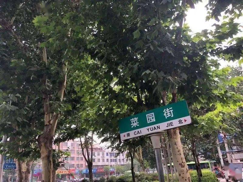 禹州推拿一条街叫什么