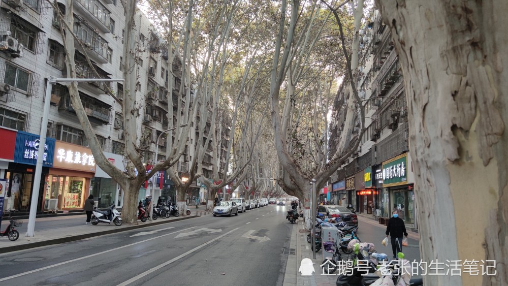 郑州市花圃口一条街2026