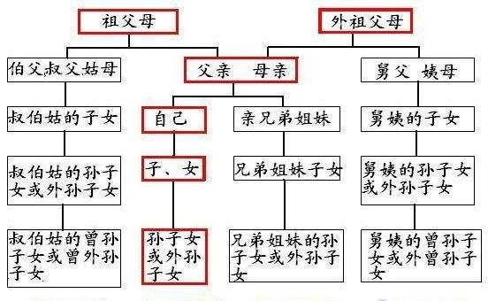 武汉szsn网