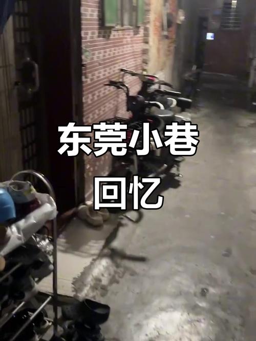 厚街幼小路白日还有玩的吗