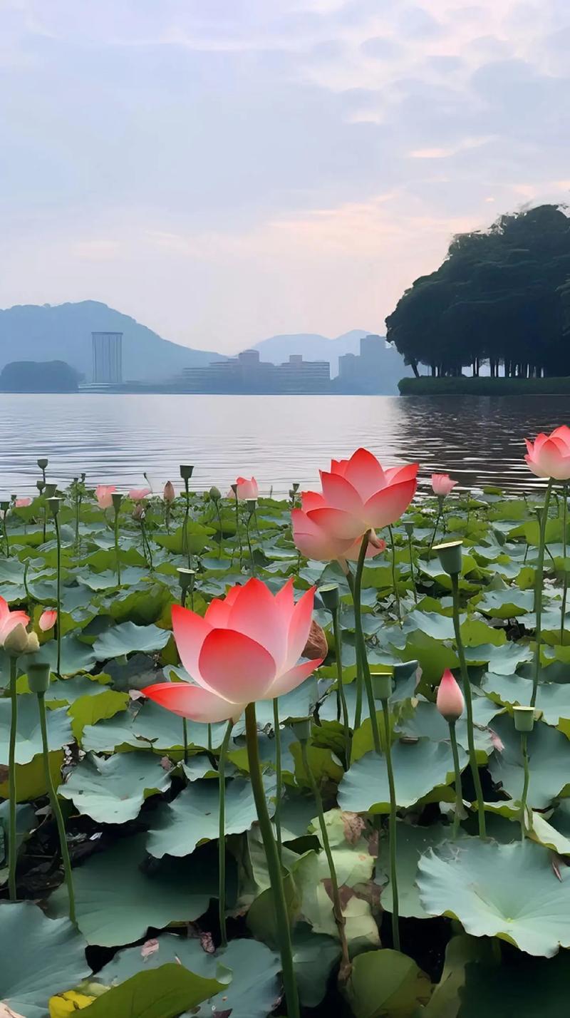 荆门性息