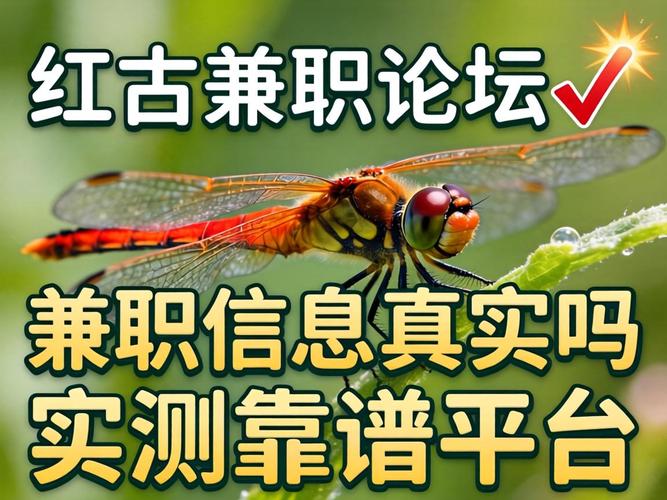 红蜻蜓信息论坛全国兼职