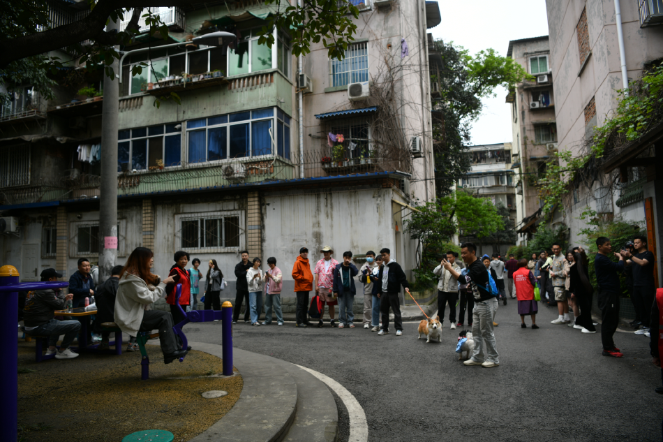 成都武侯区卖婬最多在哪条巷