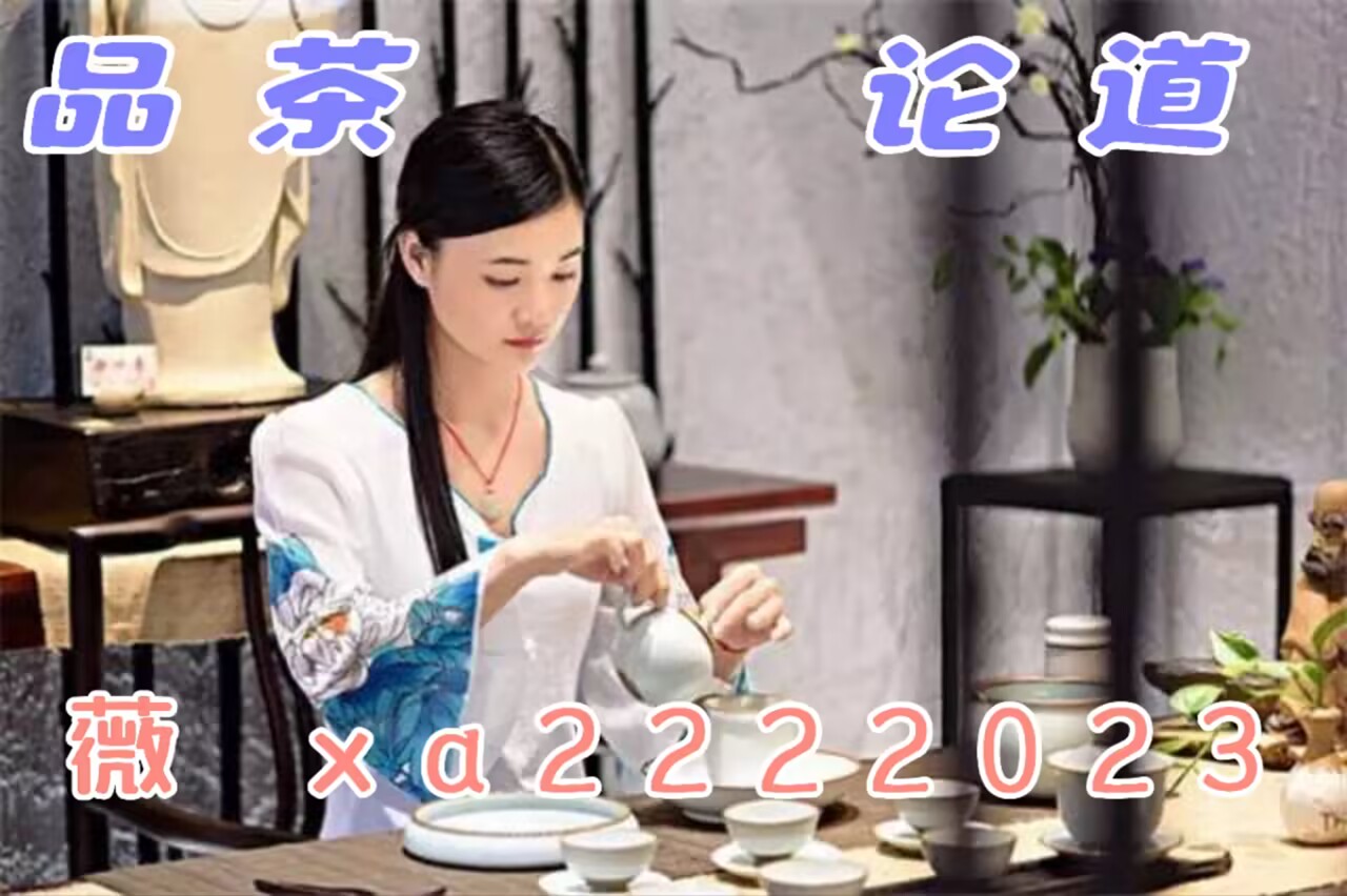 天津品茶全城铺排