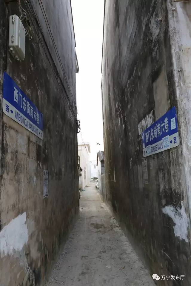 万宁红专西路幼小路在哪里
