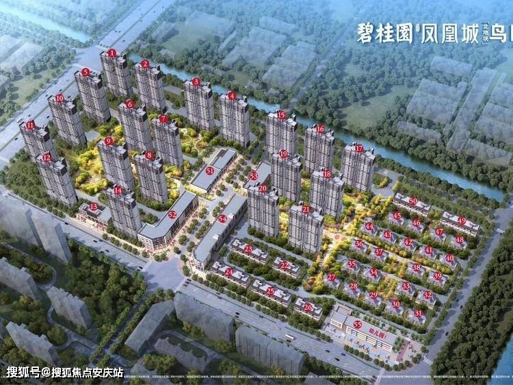 金山区楼凤