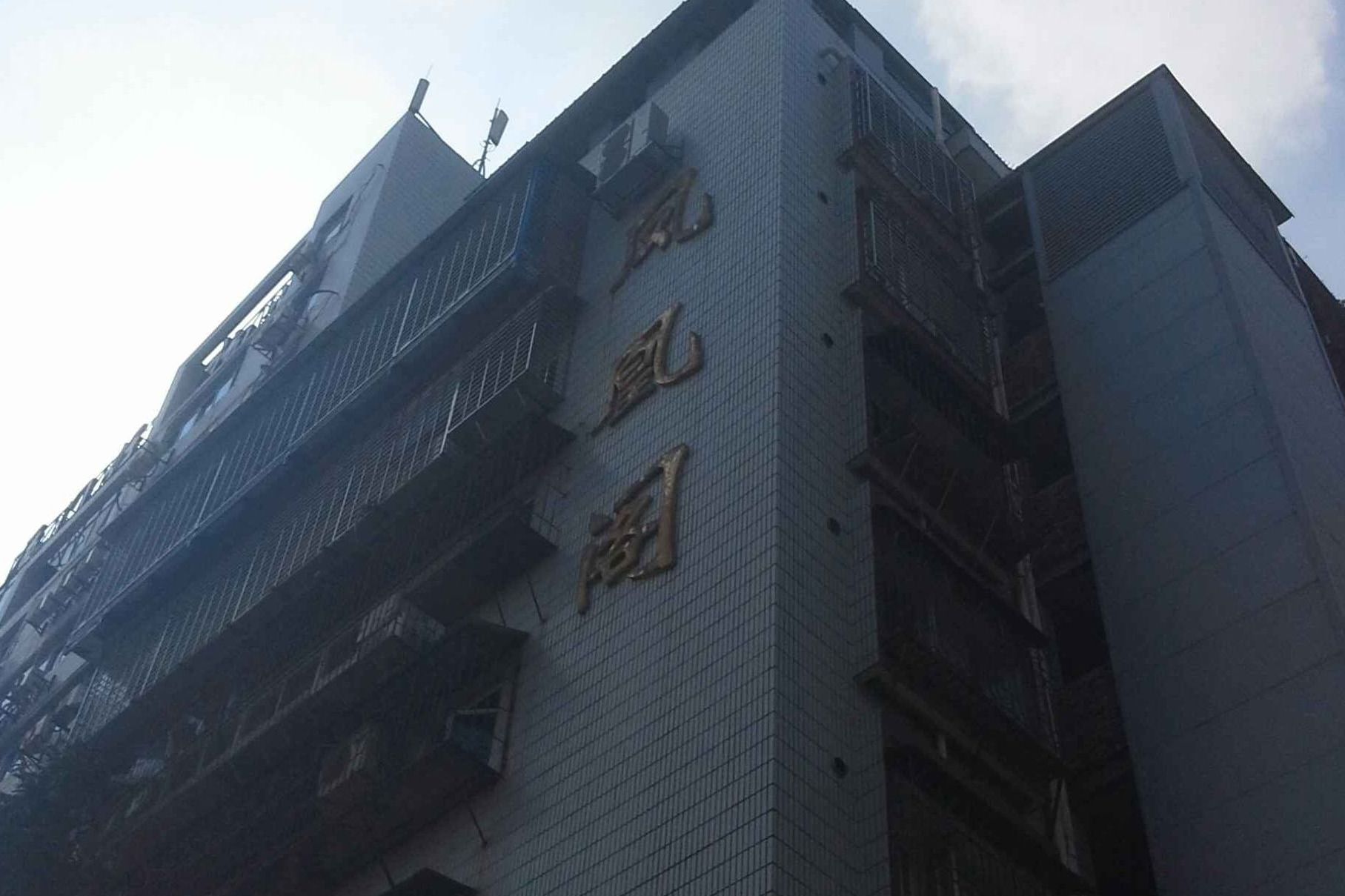 左近楼凤
