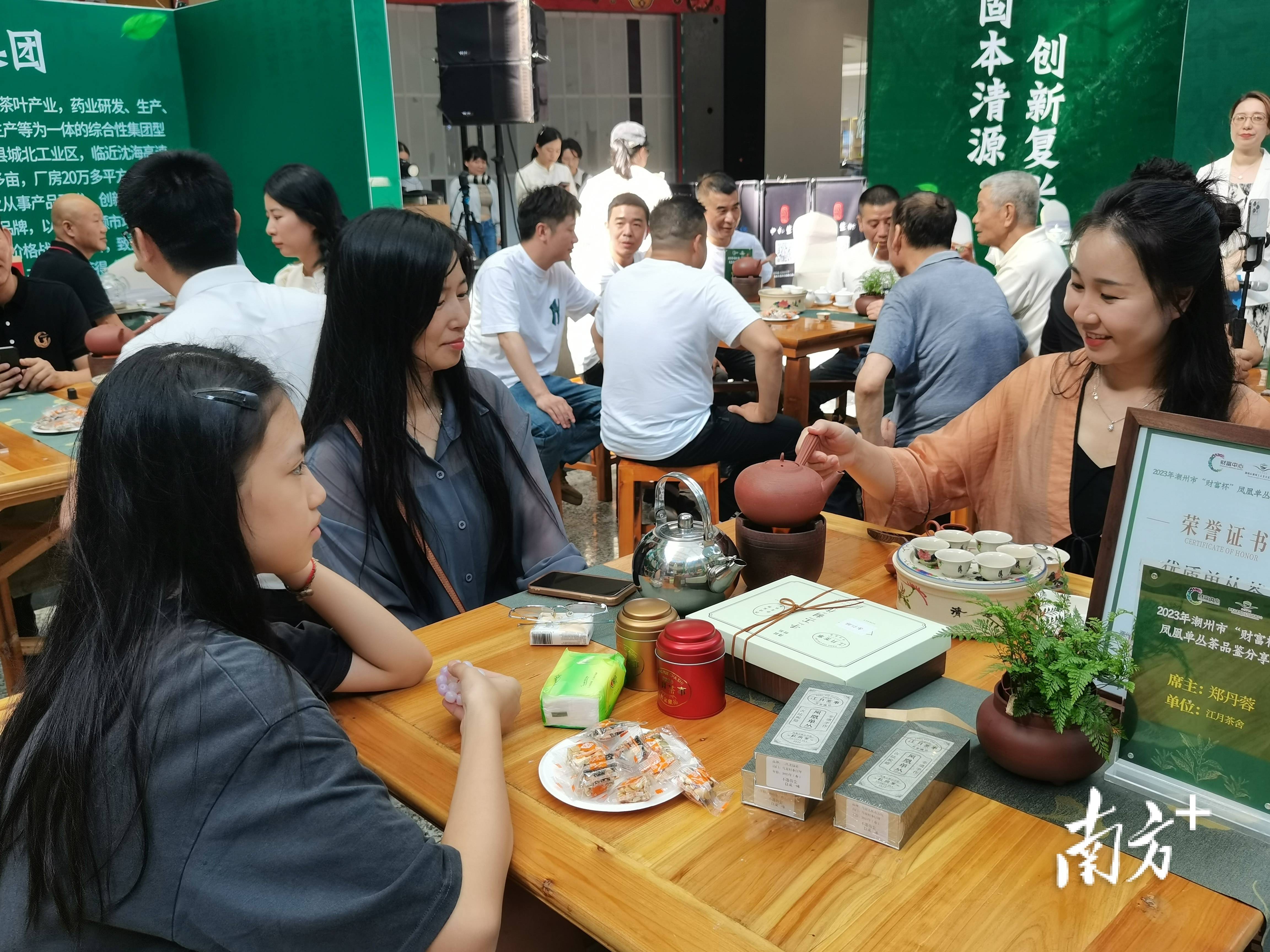 凤楼新茶论坛