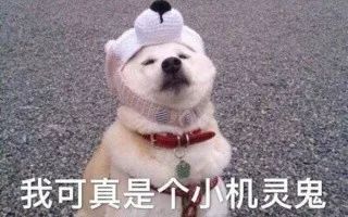 可约可空降是什么套路