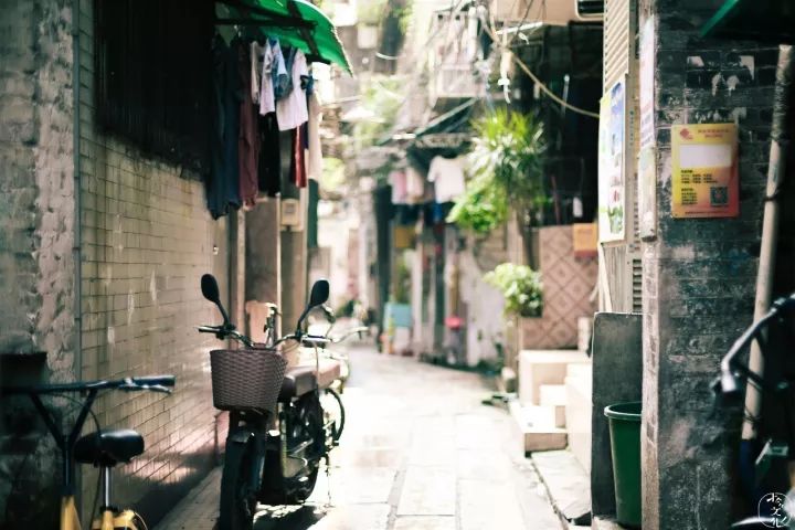 小巷子里150的恋爱