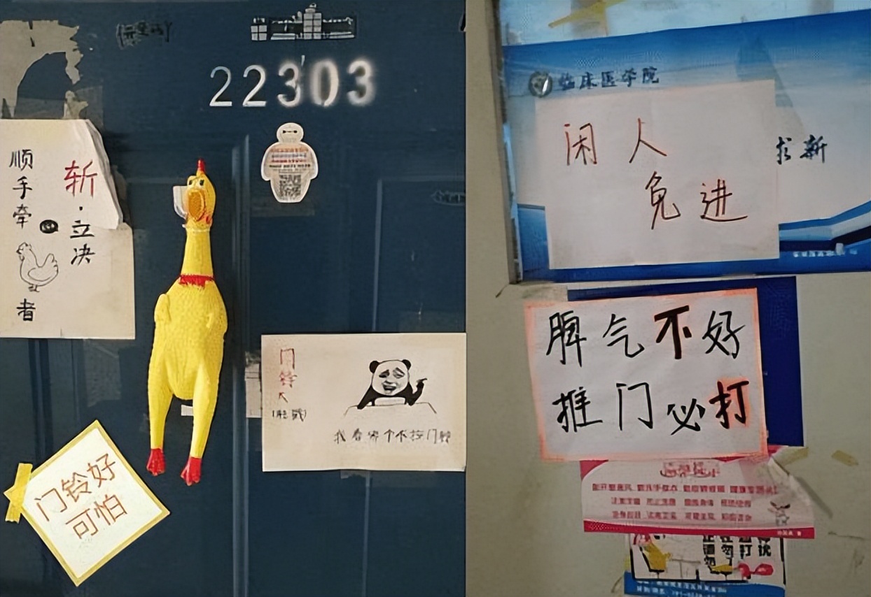 大学门口最新切口2026