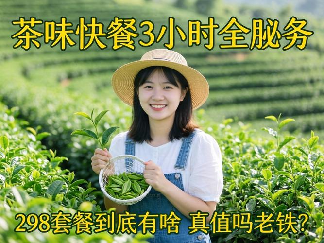 茶园快餐3幼时蕴含哪些服务