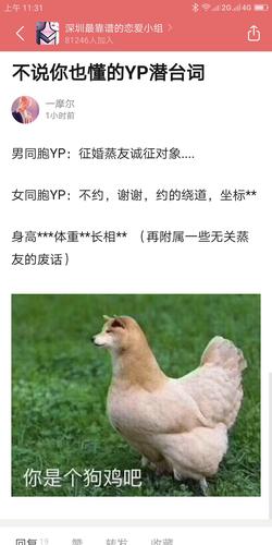 昭通大学堂鸡的记号