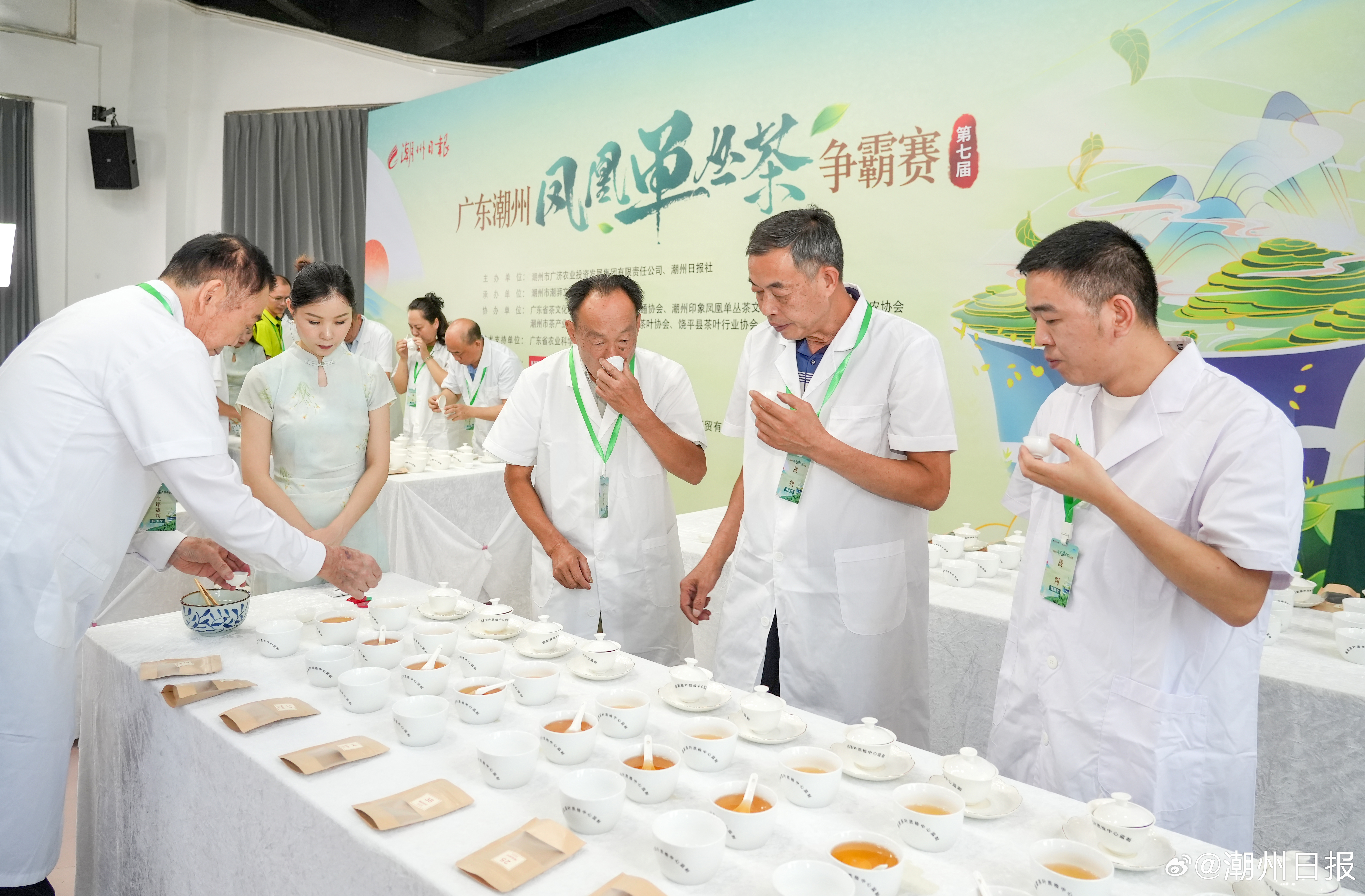 昭通凤楼新茶论坛