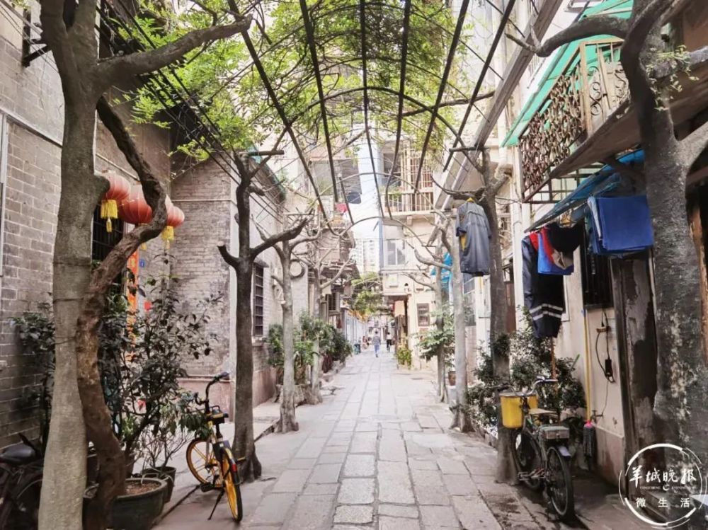 昭通城市若何找小路