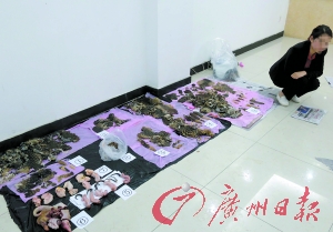 昭通酒店记号是什么