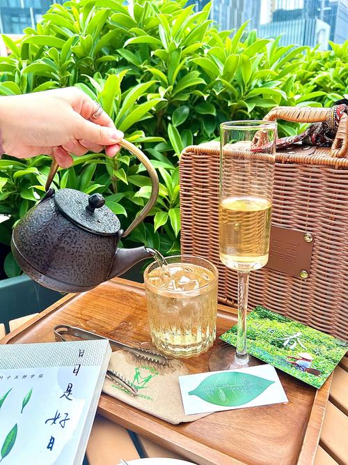 昭通800元不限次数品茶