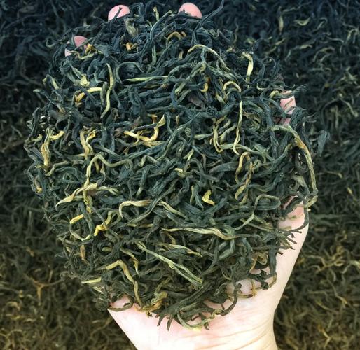 昭通喝茶新茶嫩茶