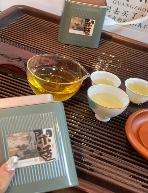 昭通喝茶资源新茶嫩茶