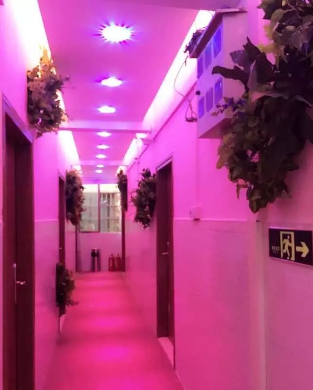 昭通左近找女人过夜