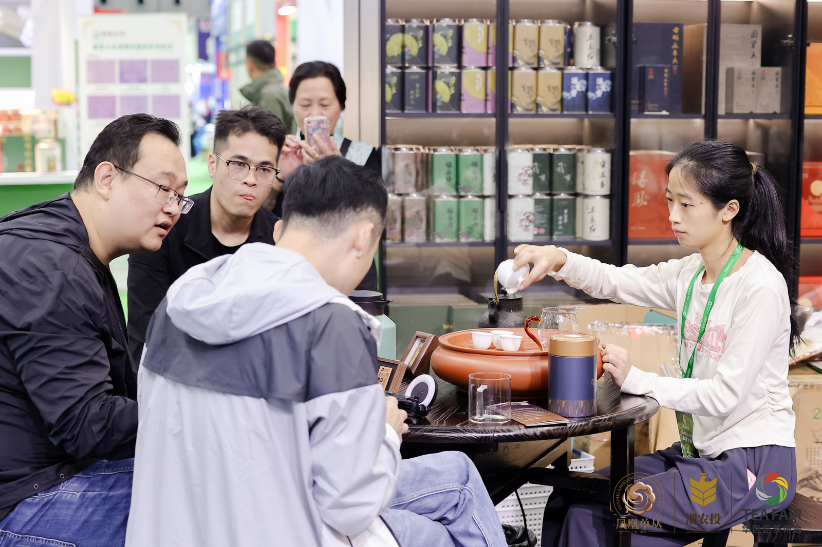 丽江凤楼新茶论坛
