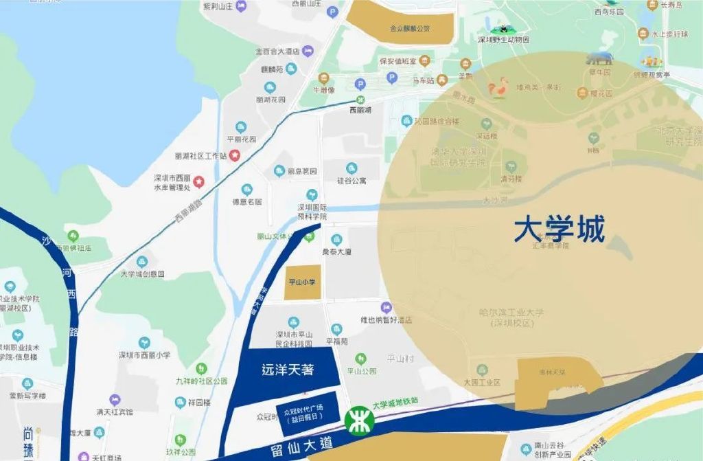 丽江大学城左近有做服务的吗