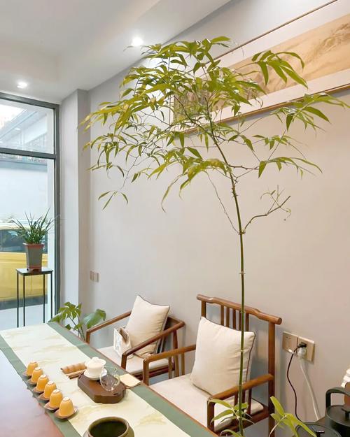 丽江各区品茶工作室