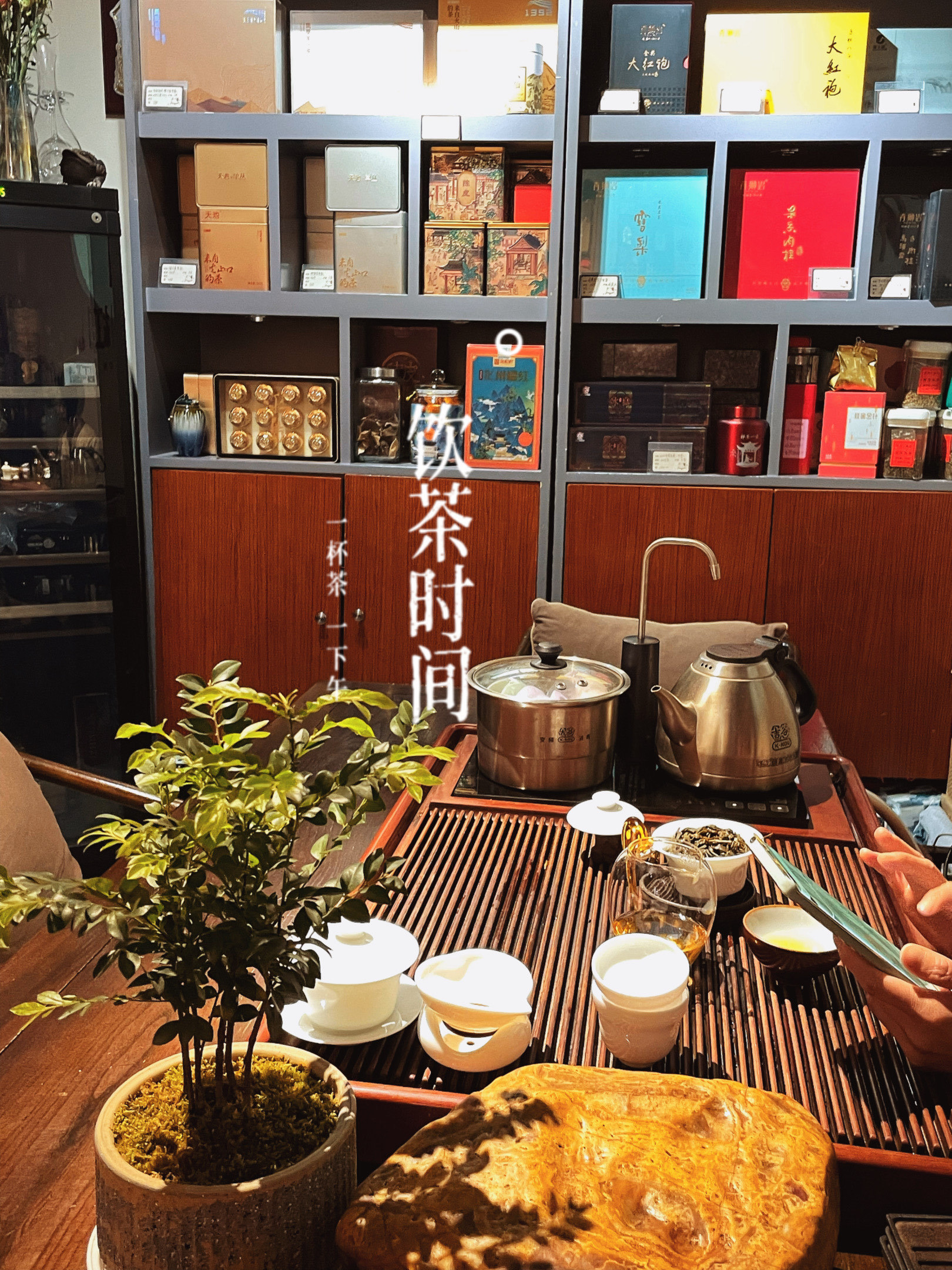 丽江24幼时上门茶600左右