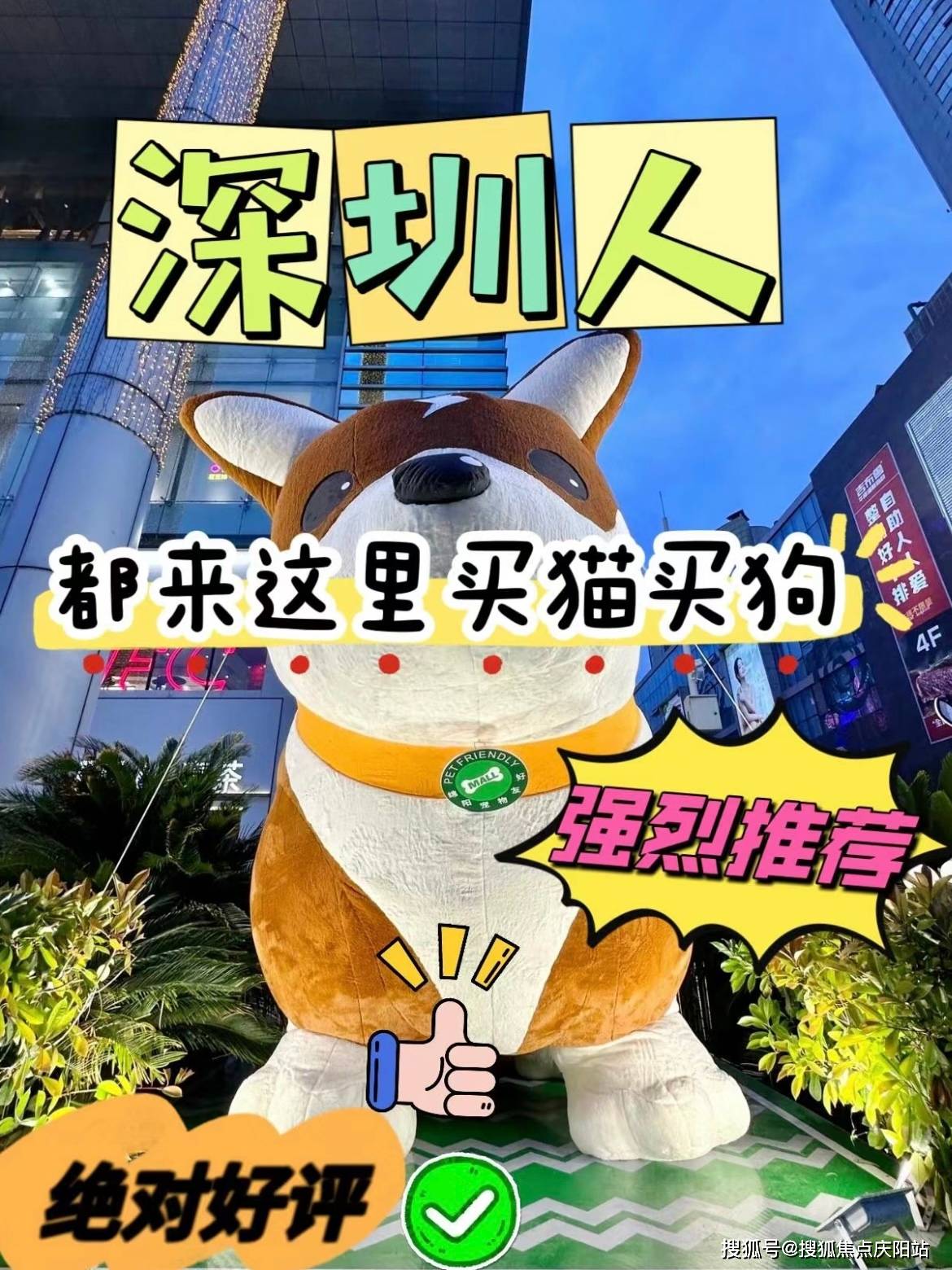 丽江在陌陌怎么找卖的