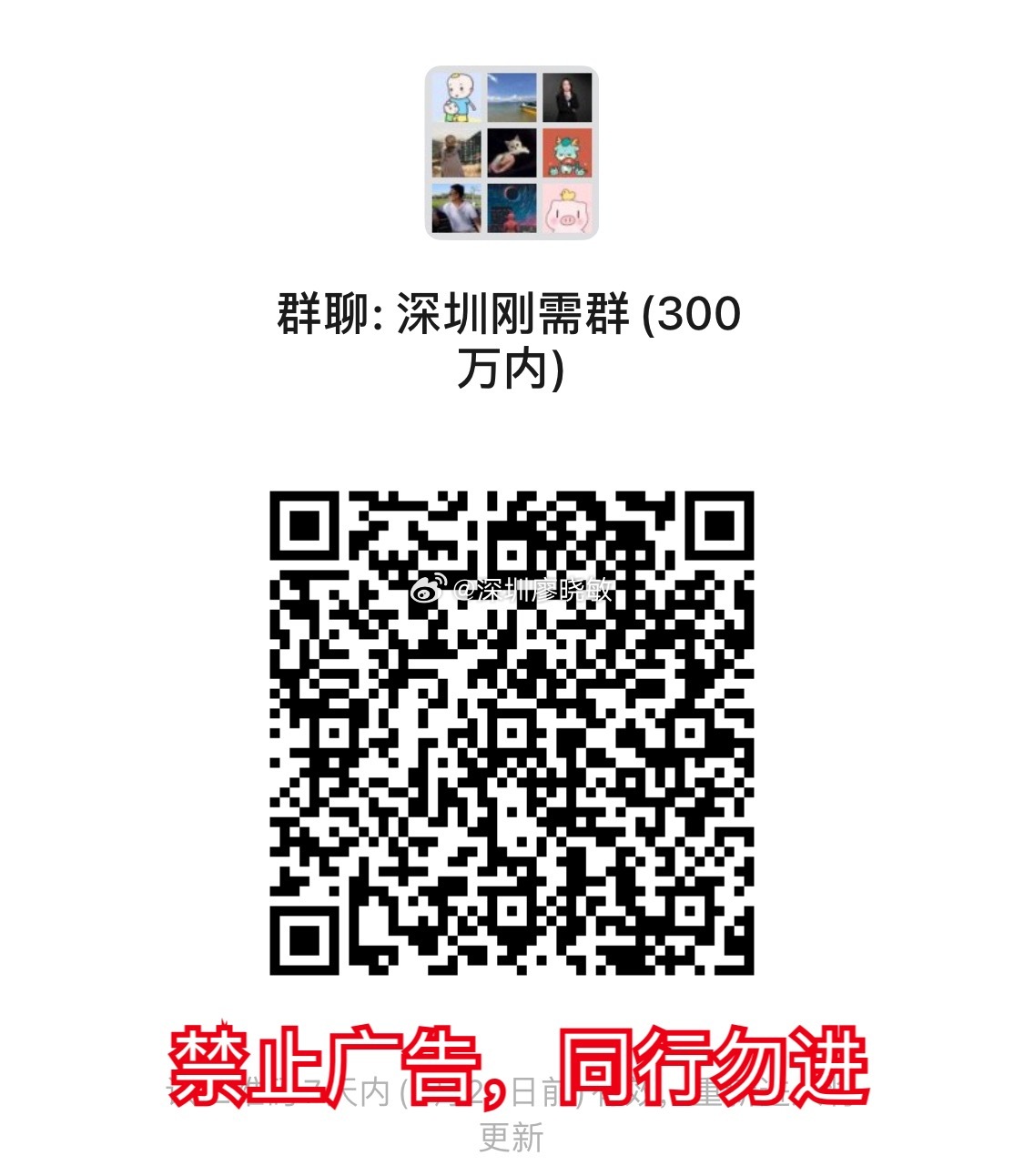 丽江灼炮群哪个平台最火