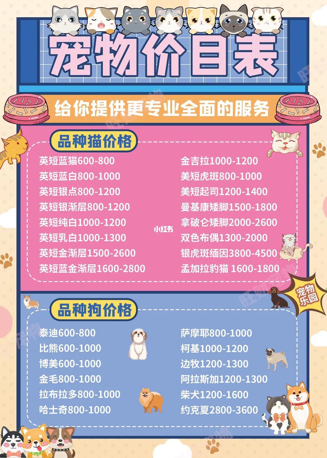 深圳女明星睡觉价目表一晚