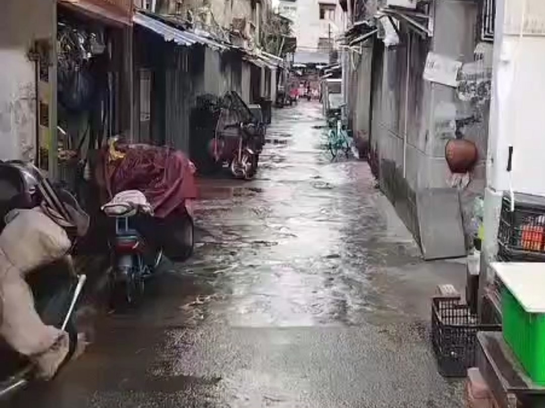 上海幼小路里150的爱情