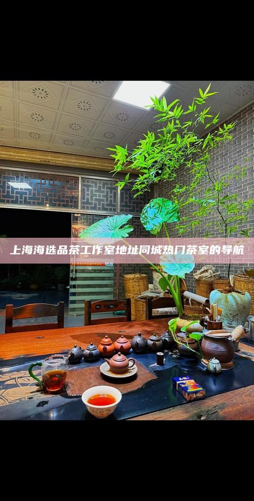 上海品茶个人为作室荟萃区在哪里