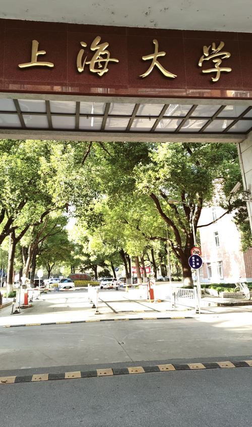 上海大学里怎么找卖的