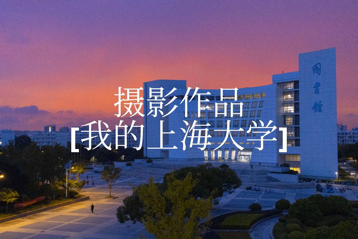 上海大学城约找学生