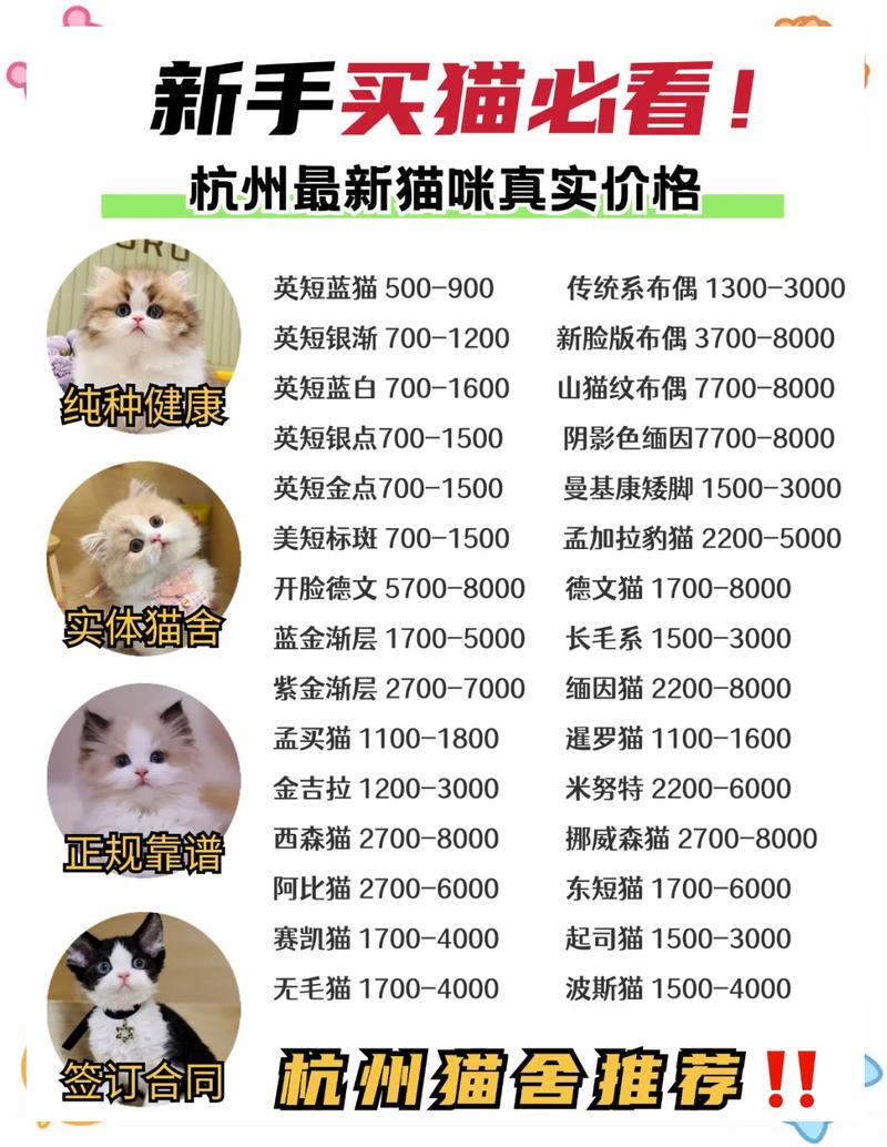 荆门三里桥几多钱一次
