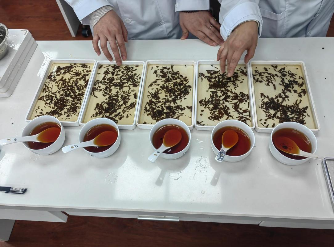 荆门全国各地喝茶上课资源