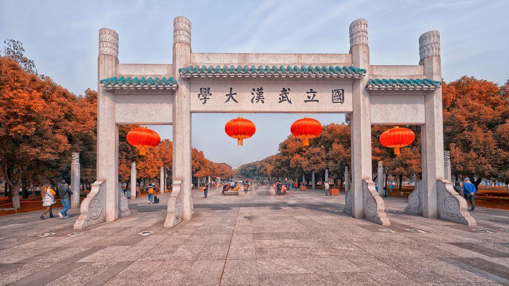 武汉大学校鸡的旗号