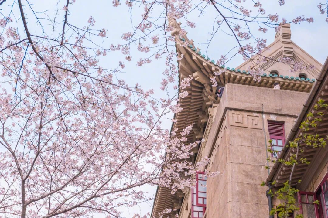 武汉大学城左近的暗巷在哪里啊