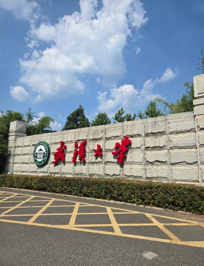 武汉大学边约什么新旗号